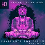 cover: Dnbn - Psytrance For Serum Volume 3 (Original Mix)