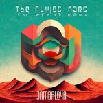 cover: The Flying Mars - Jambalaya