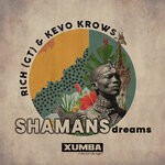 cover: Kevo Krows|Rich (gt) - Shamans Dream