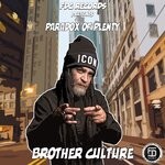 cover: Brother Culture - Paradox Of Plenty