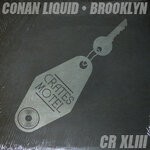 cover: Conan Liquid - Brooklyn's In The House (Kaizen Mix)