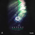 cover: Antent - Perfect Bloom