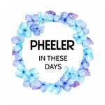 cover: Pheeler - In These Days