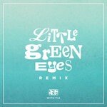 cover: Fia|Surfer Girl - Little Green Eyes (Explicit Remix)