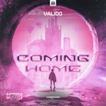 cover: Valido - Coming Home