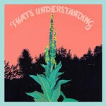 cover: Village Of Spaces - That's Understanding