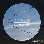 cover: Sound Nomaden - Bird Migration