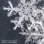 cover: Various - Winter Tracks