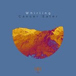 cover: Whirling - We Whirr Weightless