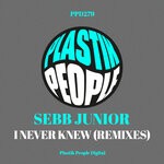 cover: Sebb Junior - I Never Knew (Remixes)