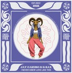 cover: Jay Caruso|G-sax - Never Knew Love Like This Before