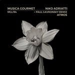 cover: Niko Adriatti - Atmos