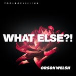 cover: Orson Welsh - What Else?!