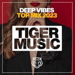 cover: Various - Deep Vibes Top Mix 2023