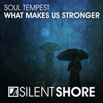 cover: Soul Tempest - What Makes Us Stronger