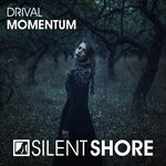 cover: Drival - Momentum