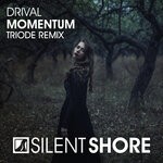 cover: Drival - Momentum (Triode Remix)