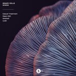 cover: Gotshell|Casual Treatment|Uvall|Dejan (se) - BCS009