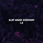 cover: Er Studio Indo - Slap House Everyday 1.0