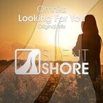 cover: Omniks - Looking For You