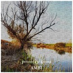 cover: Pelicans Of Swamp - Ambi