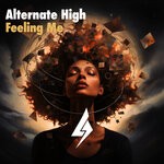 cover: Alternate High - Feeling Me