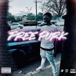 cover: Lil Bigg - Free Purk (Explicit)