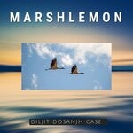 cover: Marshlemon - Diljit Dosanjh Case