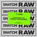 cover: Davide Squillace - Break The Silence