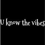 cover: Fblmanny - U Know The Vibes (Explicit)