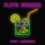 cover: Floyd Wonder - Spicy Margarita