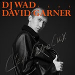 cover: David Garner|Dj Wad - C'est Entre Eux