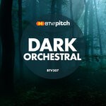 cover: Robert Edward Bradley|Christopher Shaun Wonfor - Dark Contemporary Orchestra