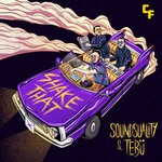 cover: Soundsuality|TEB? - Shake That