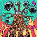 cover: Ayala (MX) - Taste The Groove (Original Mix)