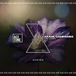 cover: Campanini|Akami - The Queen (Original Mix)