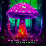 cover: Har-el Prusky - Waiting For Mary