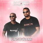 cover: Ndumiso The Healer|Dj Cyclops - Ungowami