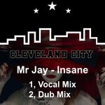 cover: Mr Jay - Insane