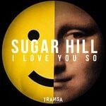 cover: Sugar Hill - I Love You So (Extended Mix)