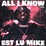 cover: Est Lu Mike - All I Know (Explicit)