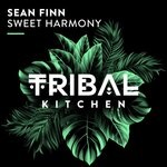 cover: Sean Finn - Sweet Harmony