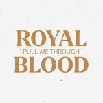 cover: Royal Blood - Pull Me Through