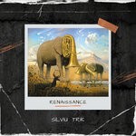 cover: Silviu Trik - Renaissance