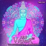 cover: Arc Voyager 25 - Transcendental Awakening