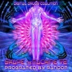 cover: Various - Shape The Machine V2 Programed By Random - Best Of Hi-Tech, Darkpsy, Fullon, Psychedelic Trance & Goa