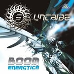 cover: Suntribe - Boom Energtica