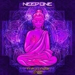 cover: Need One - Trip In India (Original Mix)