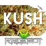 cover: Rage-bot - Kush