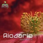 cover: Oxymoon|Riodario - Abundance